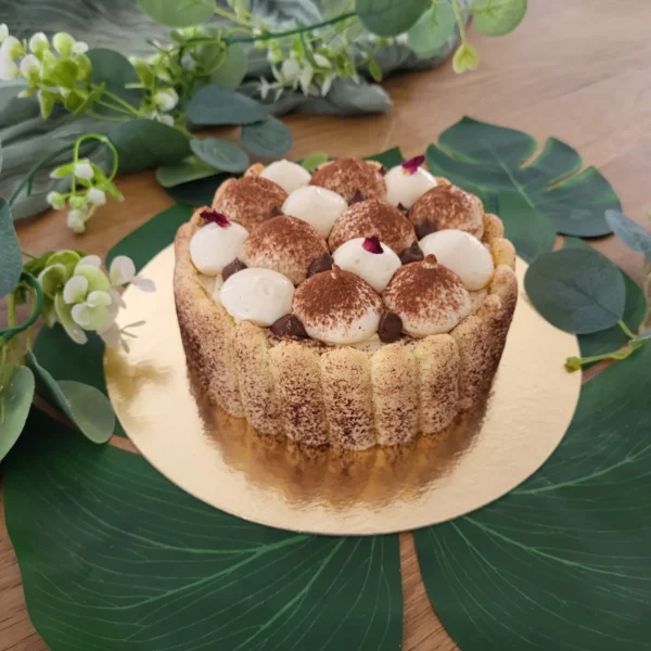 Charlotte tiramisu